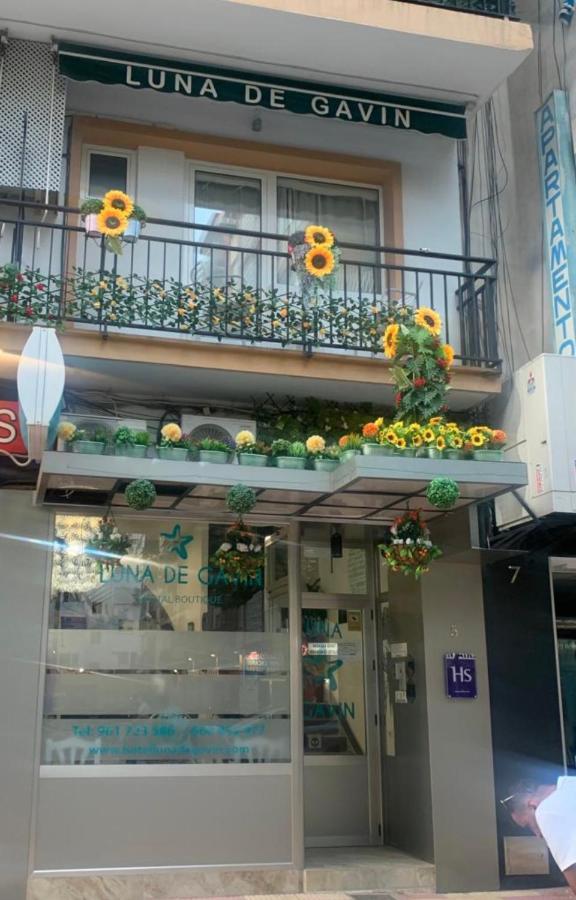 Hostal Boutique Luna de Gavín Cullera Exterior foto